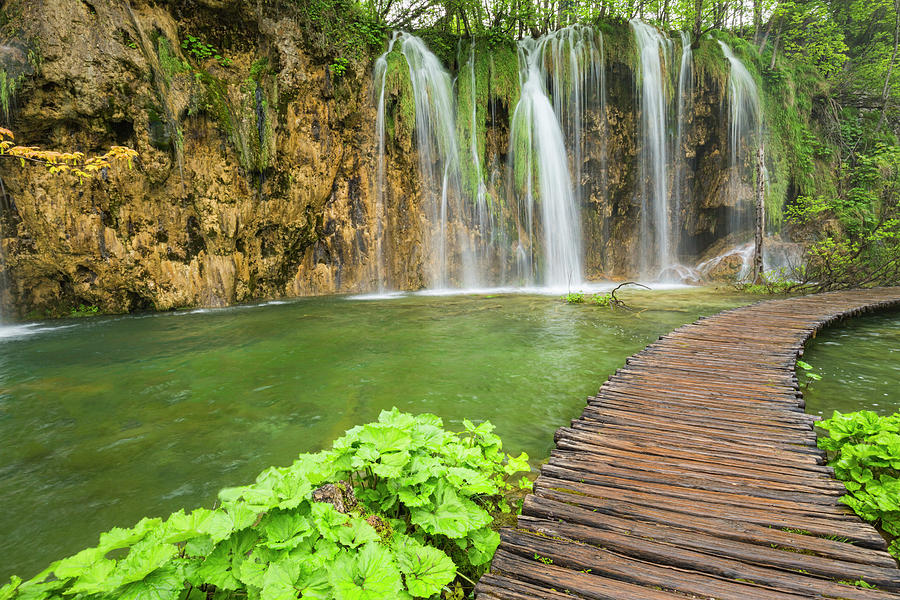 Plitvice Boardwalk and Waterfalls Photograph by Lindley Johnson - Fine ...