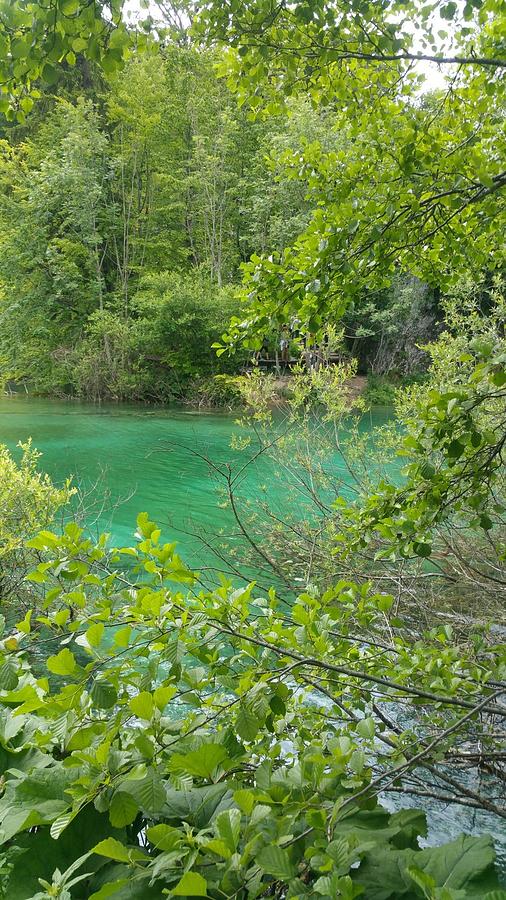Plitvice Lakes Croatia 7 Clear waters Photograph by Zachary Lowery