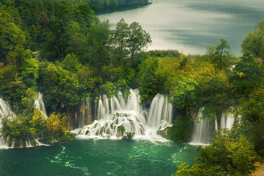 Beautiful river in forest Photograph by Sandra Rugina - Fine Art America