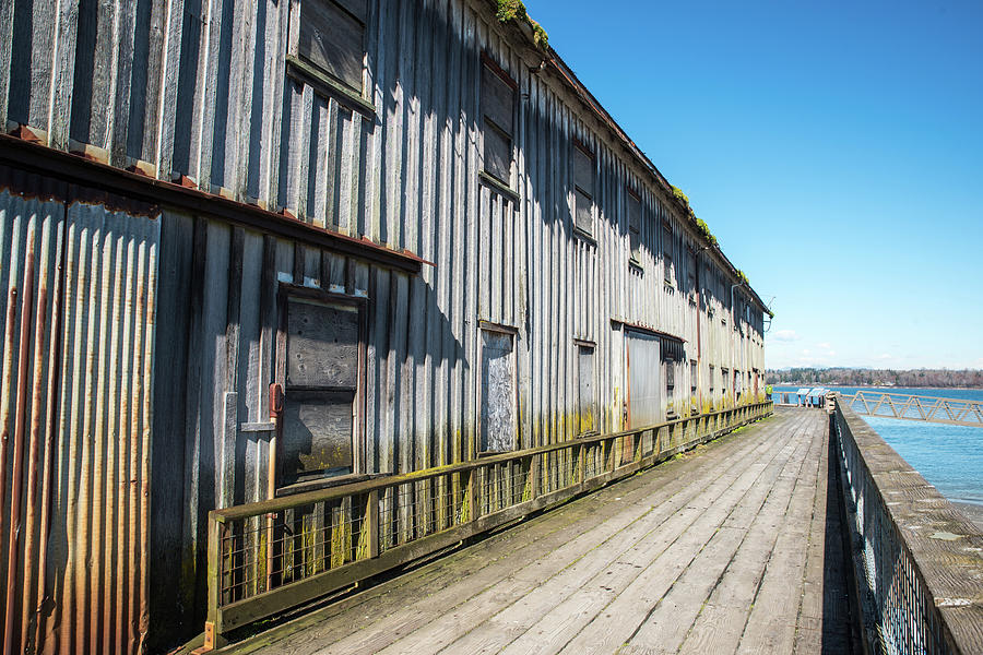 Plover Dock Perspective Photograph by Tom Cochran