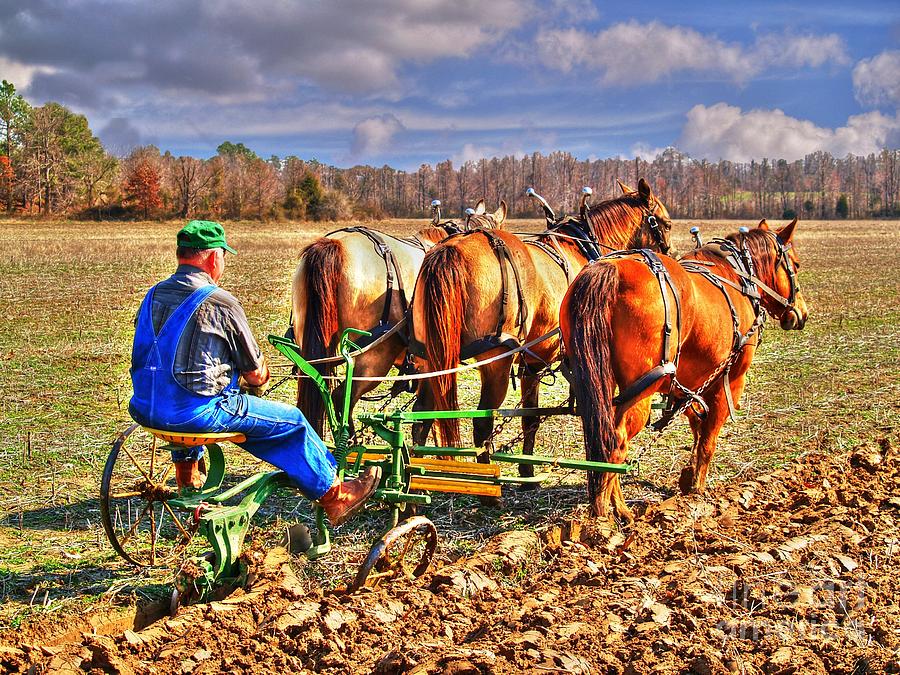 Horse Photograph - Plow Day by Kevin Pugh