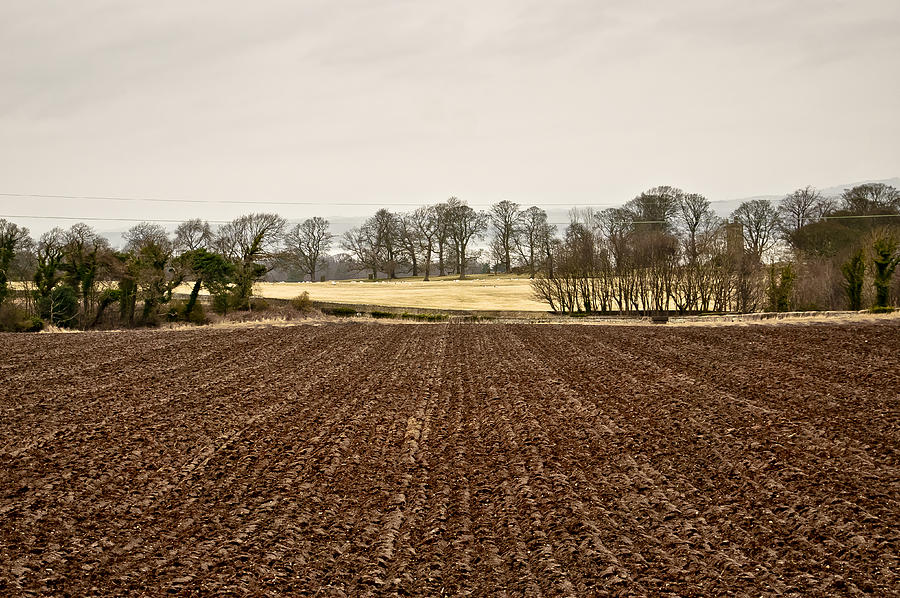 Plowed land. Photograph by Elena Perelman