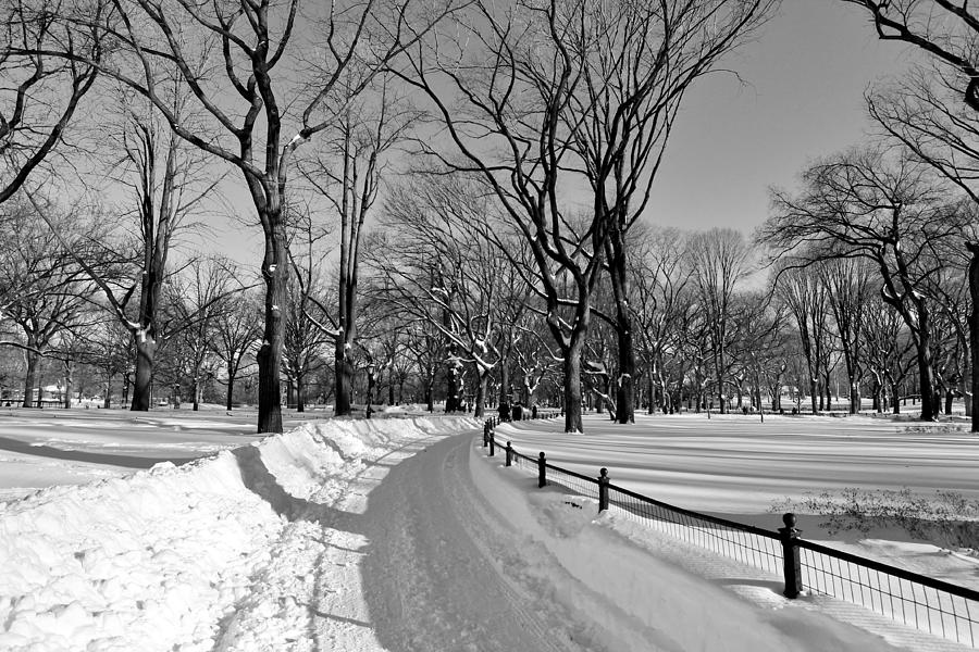Plowed Path Photograph by Catie Canetti