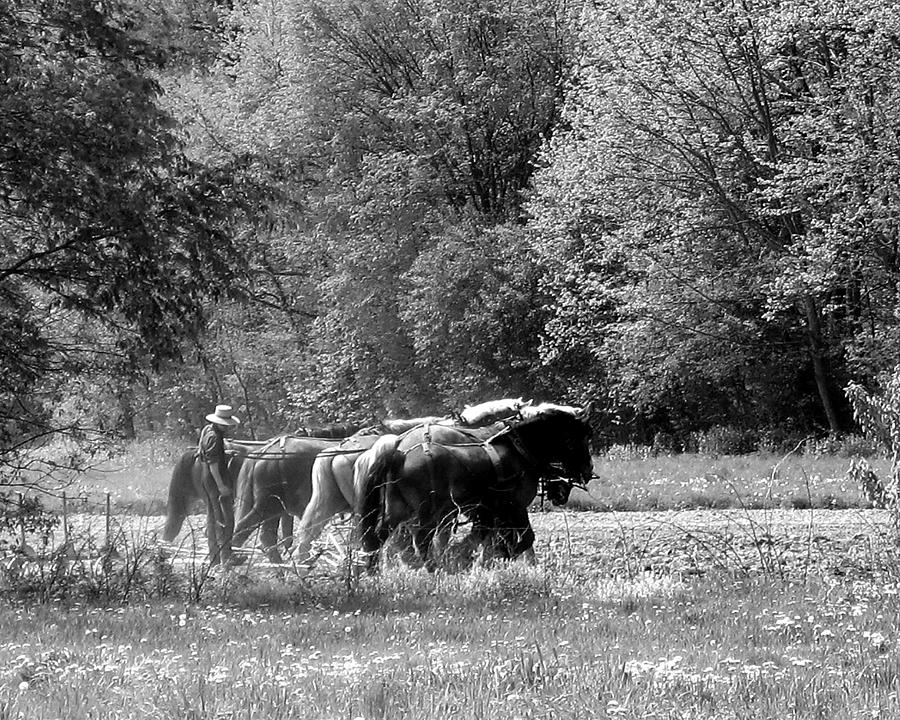 Plowing the Old Way 1  Photograph by George Jones