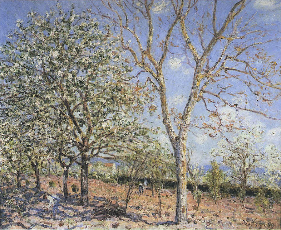 Plum and Walnut Trees in Spring Painting by MotionAge Designs