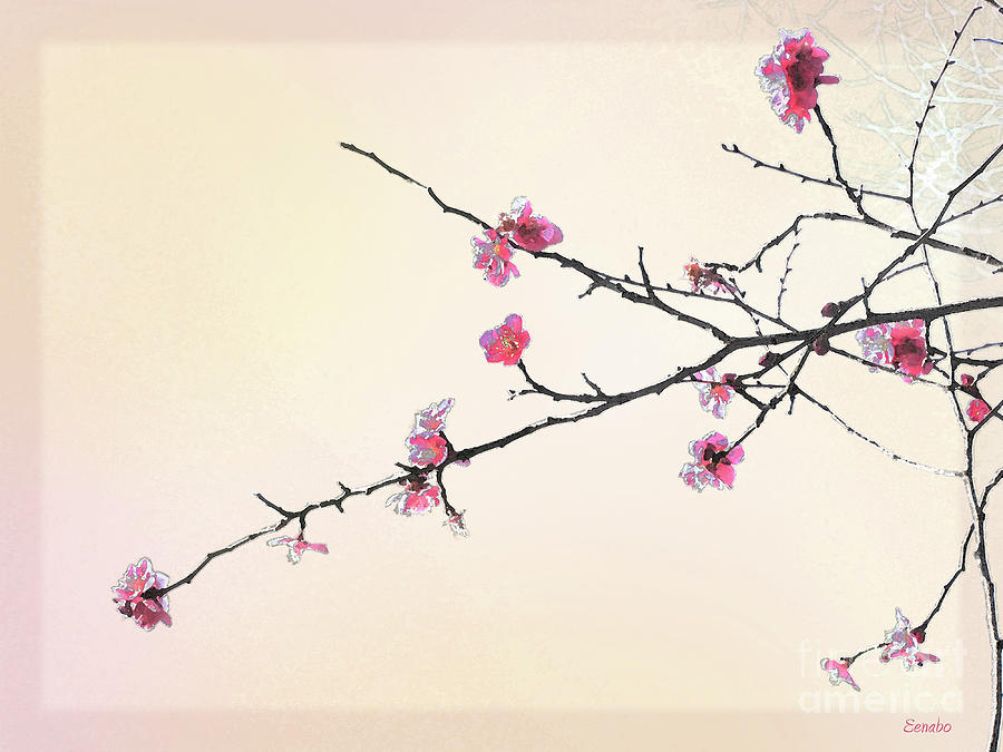 Plum Blossom Photograph by Eena Bo