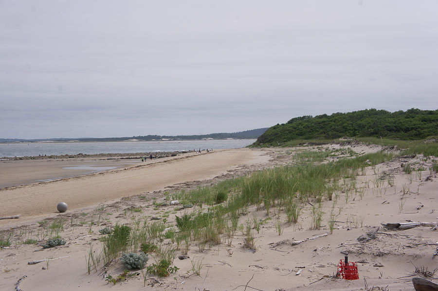 Plum Island Beach Photograph By Adam Gladstone - Fine Art America