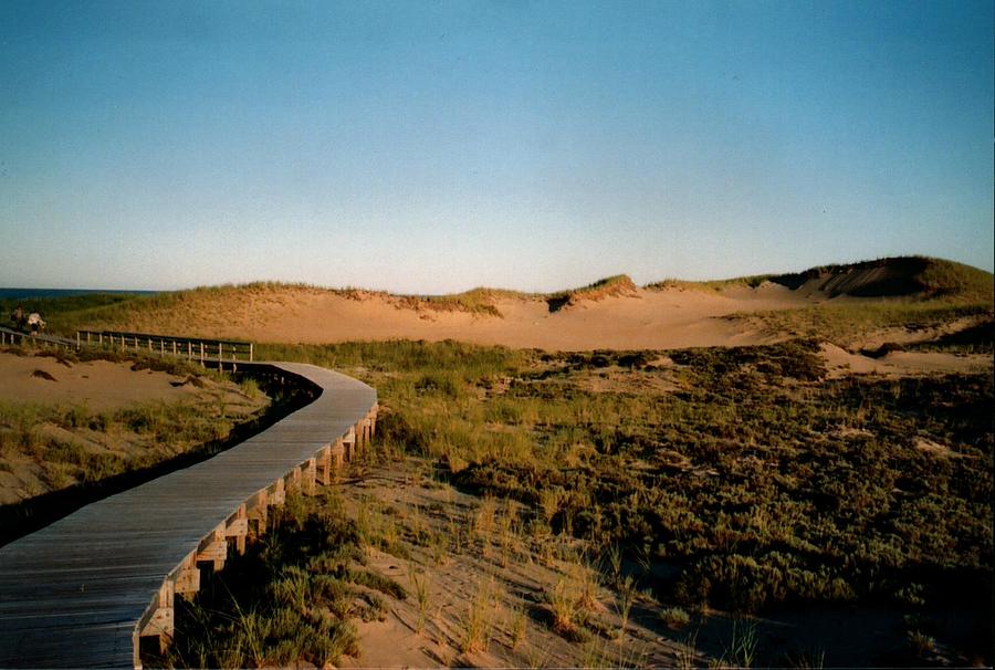 Plum Island Dunes Photograph by Robert Nickologianis