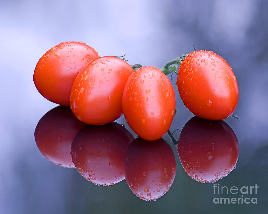 Still Life Photograph - Plum Tomatoes by Chris Smith