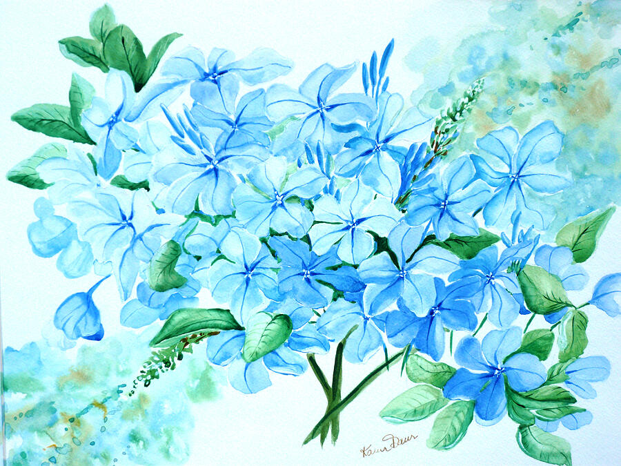 Plumbago Painting by Karin Dawn Kelshall- Best Plumbago Painting by Karin Dawn Kelshall- Best