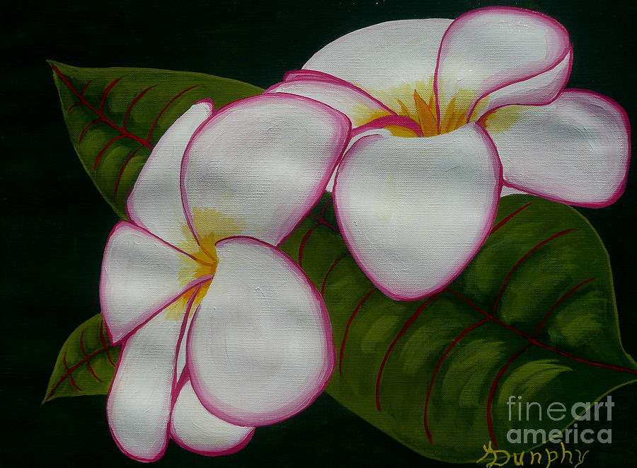 Nature Painting - Plumeria by Anthony Dunphy