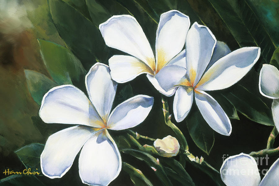 Plumeria I Painting by Han Choi - Printscapes
