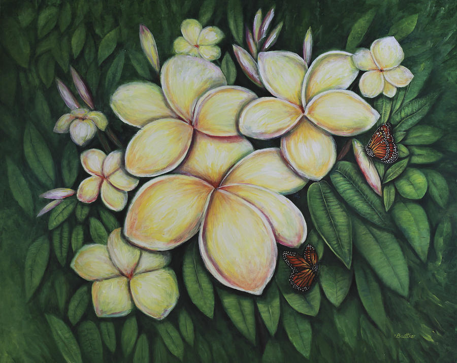 Butterfly Painting - Plumeria by Lynn Buettner