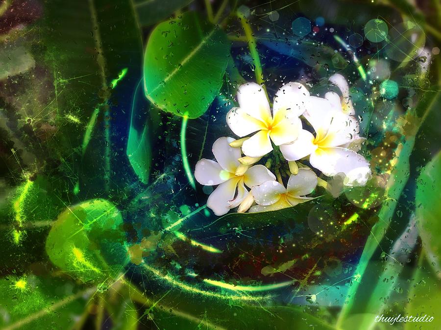 Plumerias Digital Art by Thuy Le - Fine Art America