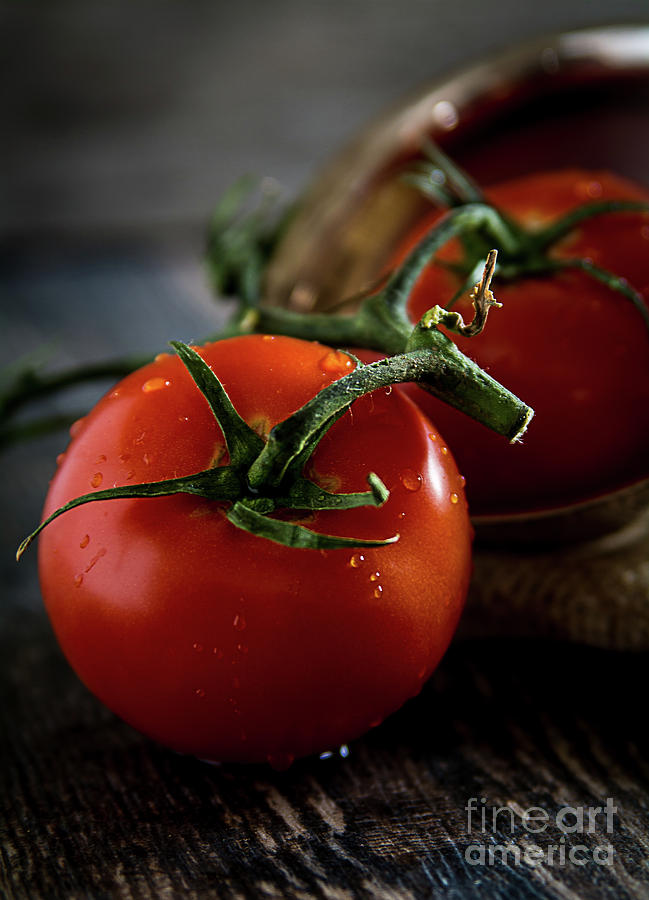 Plump Red Tomatoes Photograph by Deborah Klubertanz