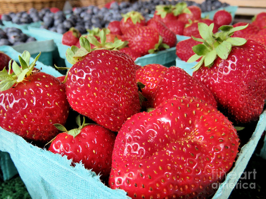 Plump Strawberries Photograph by Janice Drew