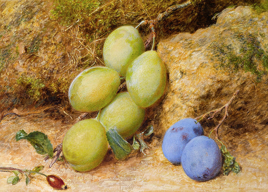 Fruit Painting - Plums and a Rose Hip on a Mossy Bank by William Henry Hunt