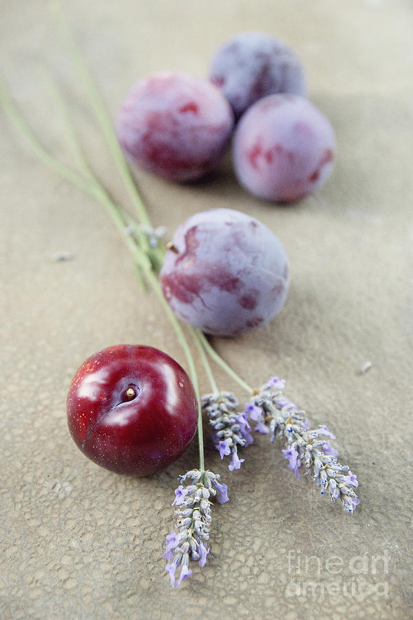 Plums and lavender Photograph by Cindy Garber Iverson