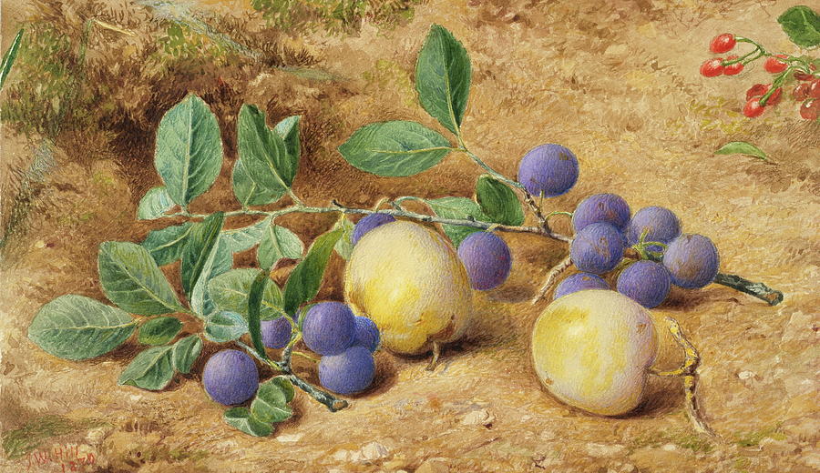 Vintage Painting - Plums by John William Hill