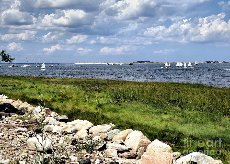 Summer Photograph - Plymouth Harbor from Stephens Field by Janice Drew