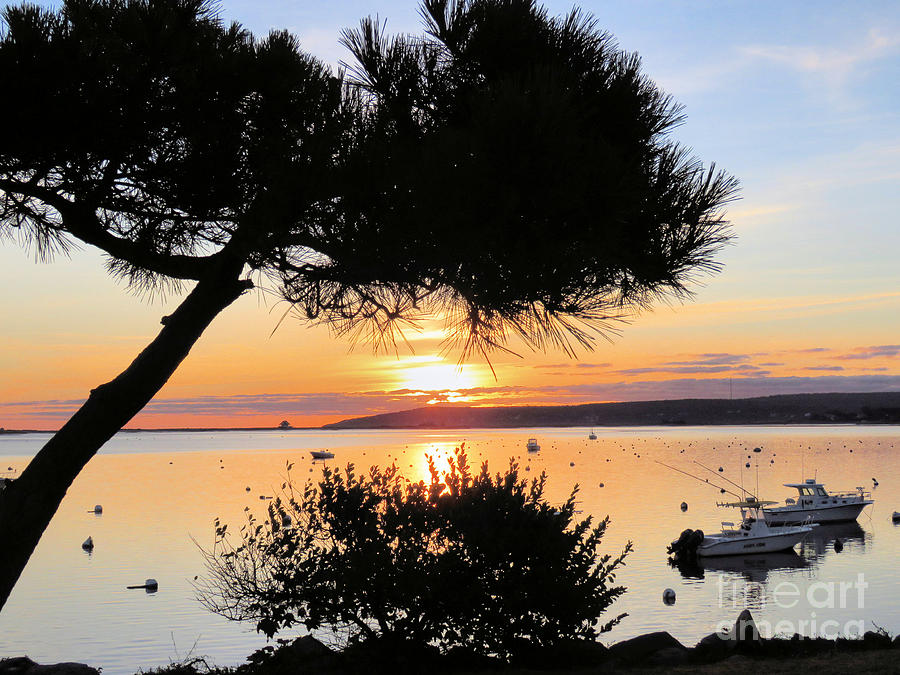 Plymouth Ma Harbor Sunrise Photograph by Janice Drew