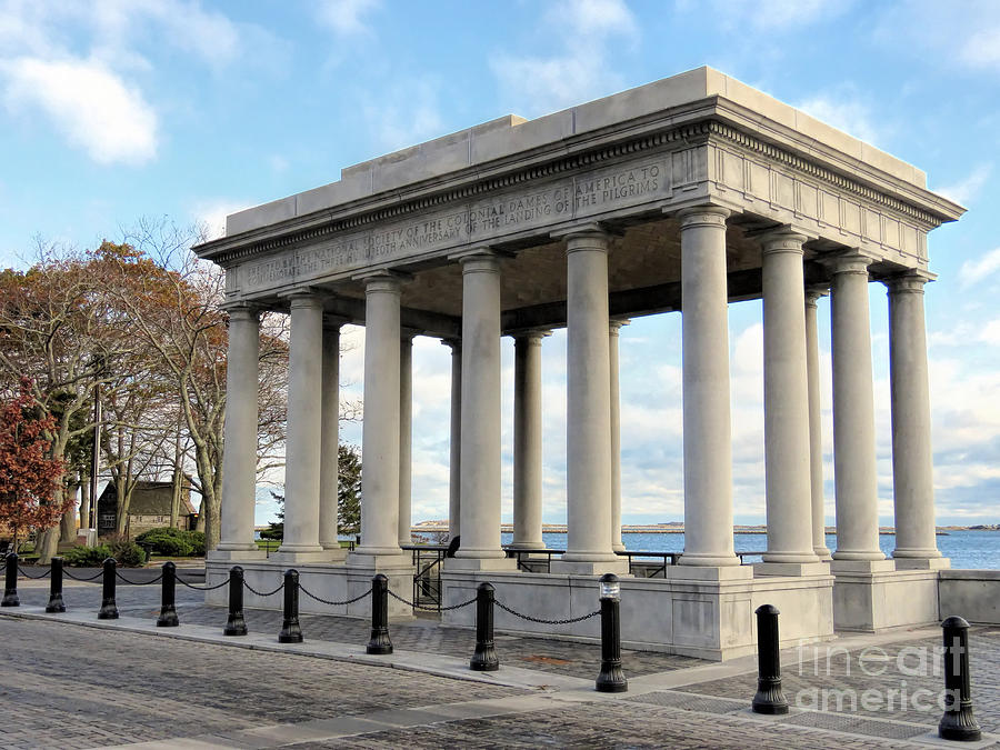 Plymouth Rock Canopy in November Photograph by Janice Drew
