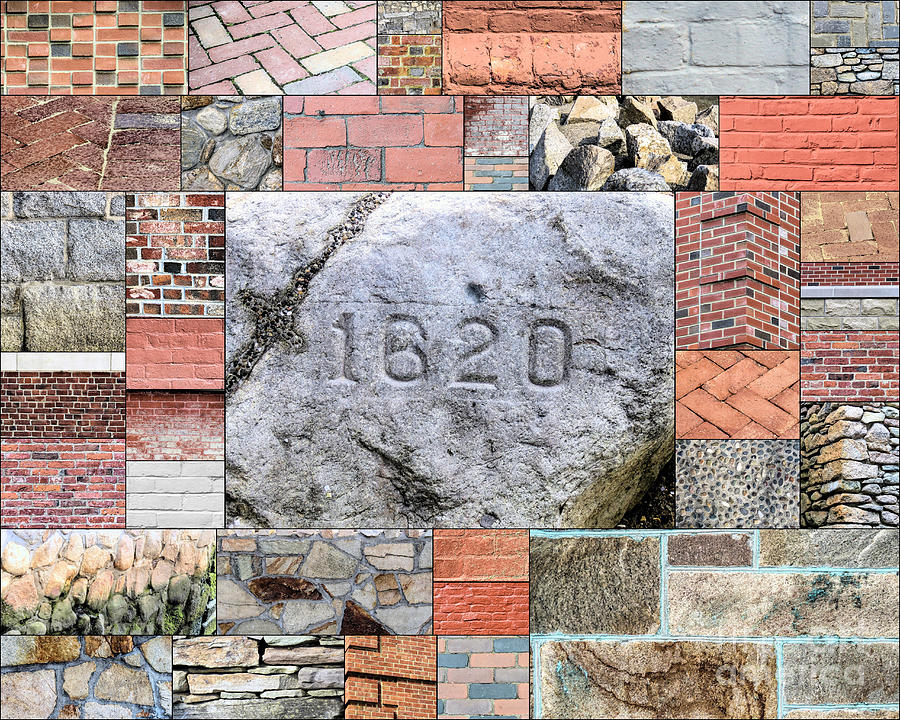 Plymouth Rocks and Bricks Photograph by Janice Drew