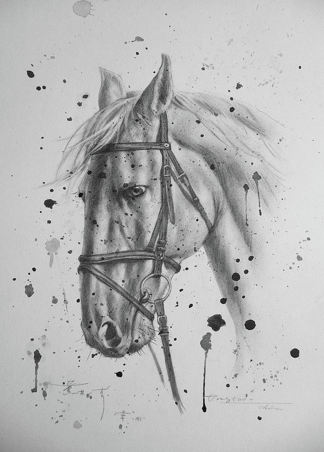 Pncil Drawing Horse #1743 Drawing by Hongtao Huang