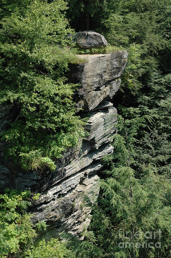 Pocono Mountain Cliff Photograph by Susan Carella