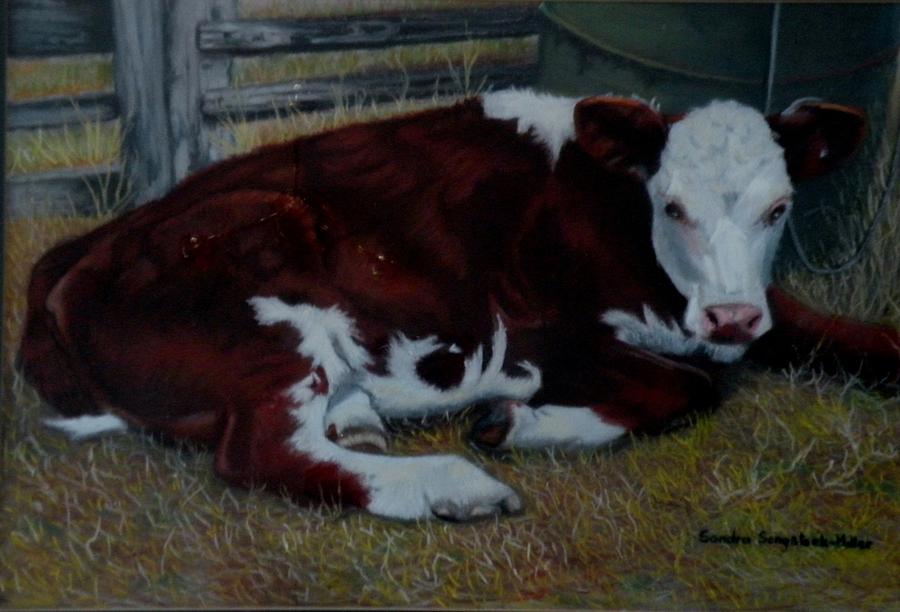 Bull Pastel - Poddy Calf by Sandra Sengstock-Miller
