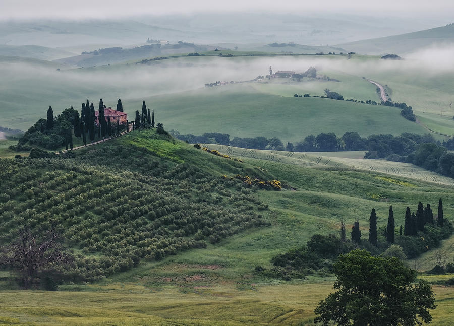 Landscape Photograph - Podere Belvedere-Tuscany by Georgette Grossman
