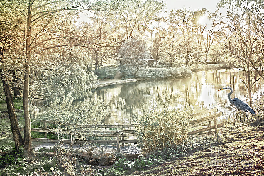 Poetic Landscape - Silent Evening at the Pond Digital Art by Gabriele Pomykaj