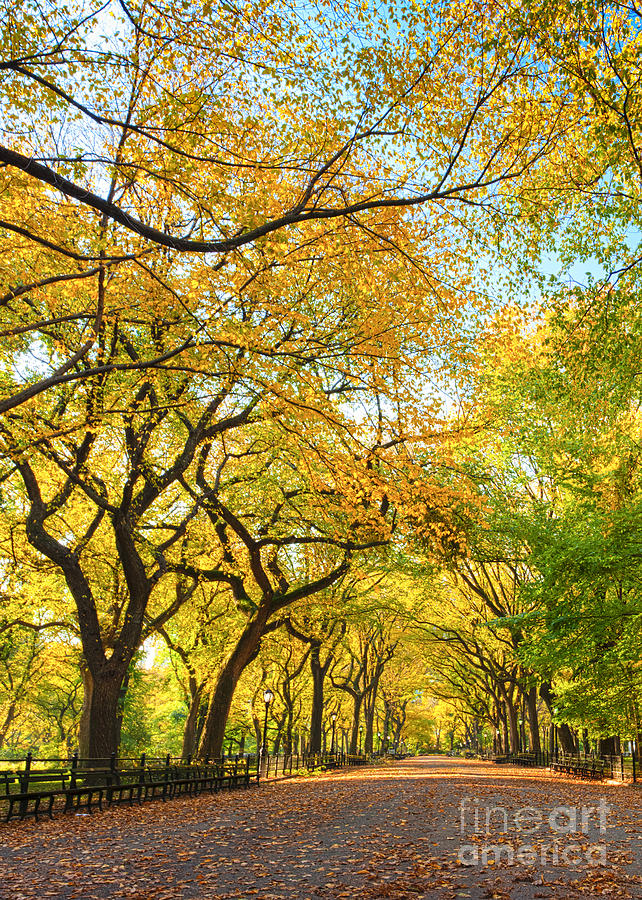 Poet's Walk in Autumn Splendor Photograph by Andria Patino - Fine Art ...