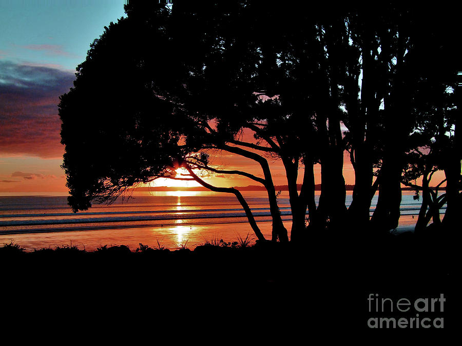 Pohutakawa Sunrise Photograph by Karen Lewis