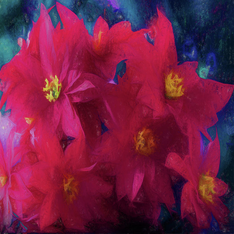 Poinsettia Abstract Digital Art by Lena Owens - OLena Art Vibrant Palette Knife and Graphic Design