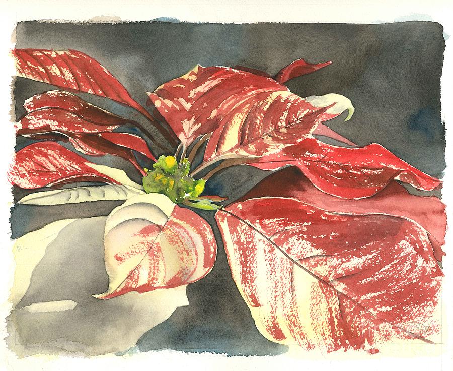 Poinsettia Painting by Denise Ogier