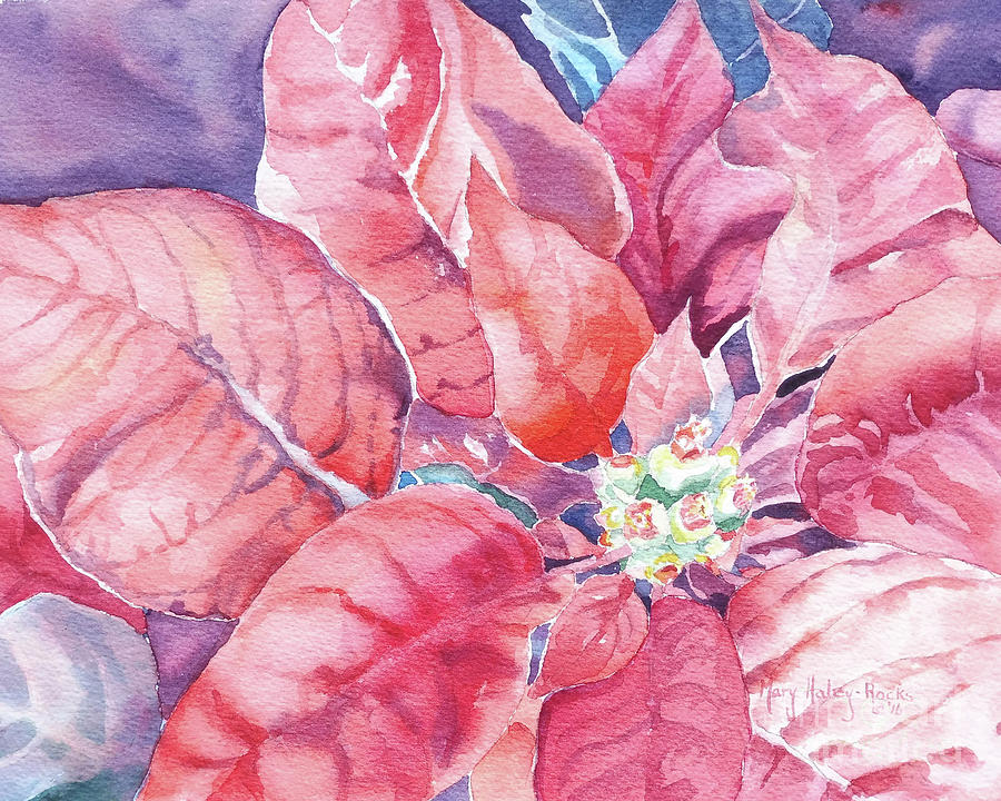 Poinsettia Glory Painting by Mary Haley-Rocks