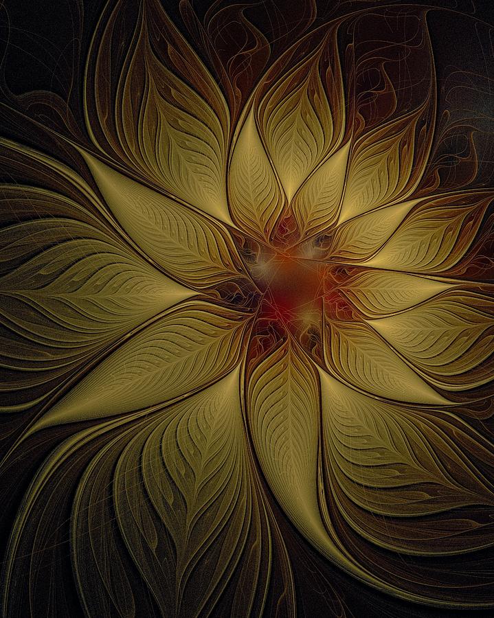 Poinsettia in Gold Digital Art by Amanda Moore