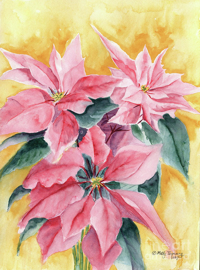 Poinsettia Painting by Melly Terpening