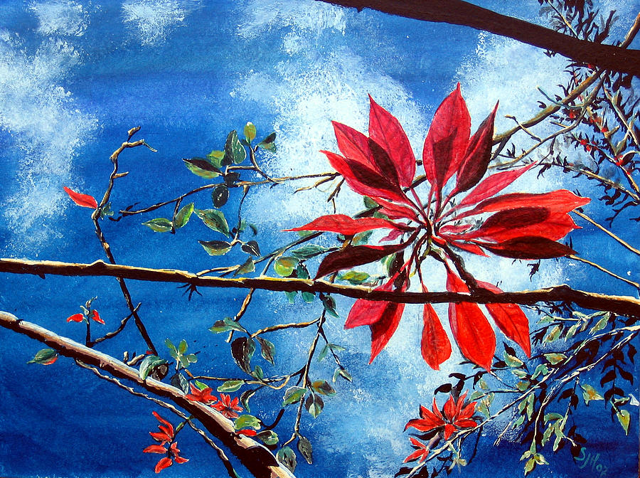 Poinsettia  Pastora Painting by Sarah Hornsby