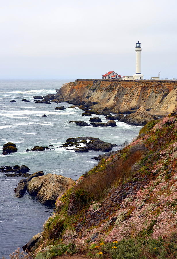 Point Arena Coast and Lighthouse Photograph by Carla Parris