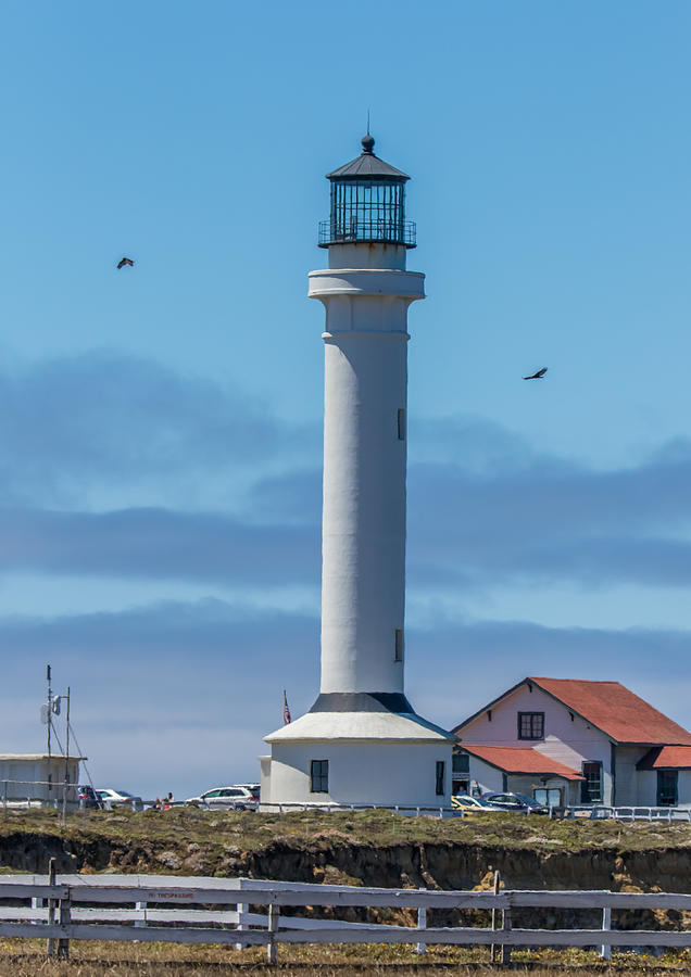 Point Arena Lighthouse Photograph by Marc Crumpler