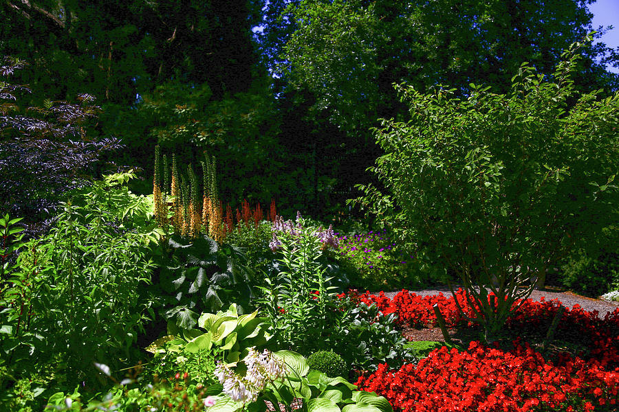 Point Defiance Landscape Photograph by Trudy Parman | Fine Art America