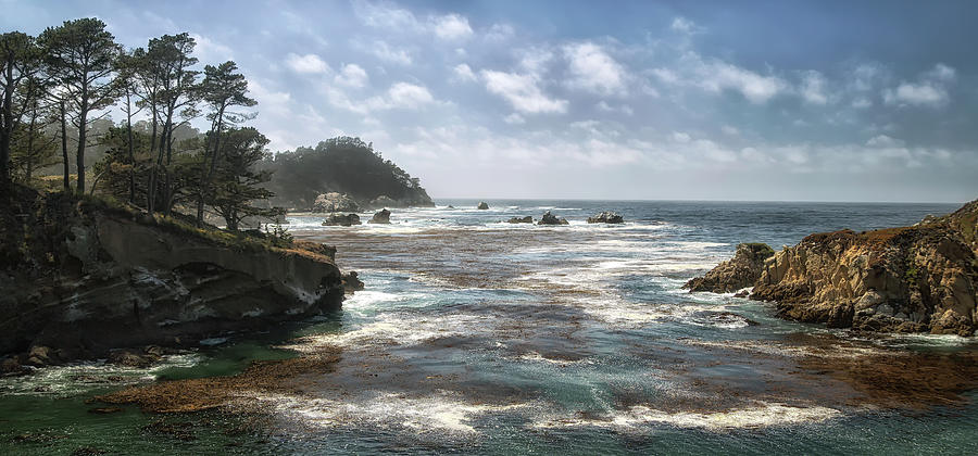 Point Lobos Photograph by Art Cole
