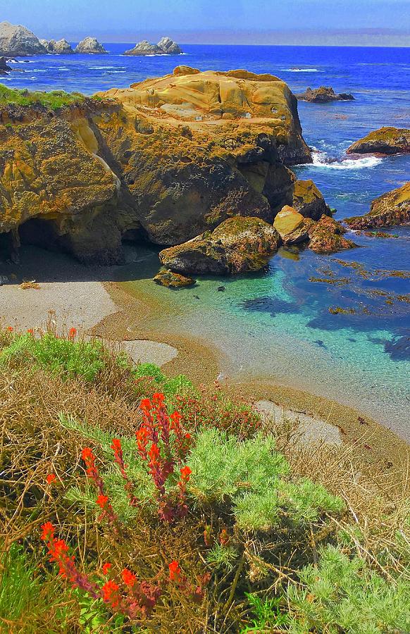 Point Lobos Beachscape Photograph