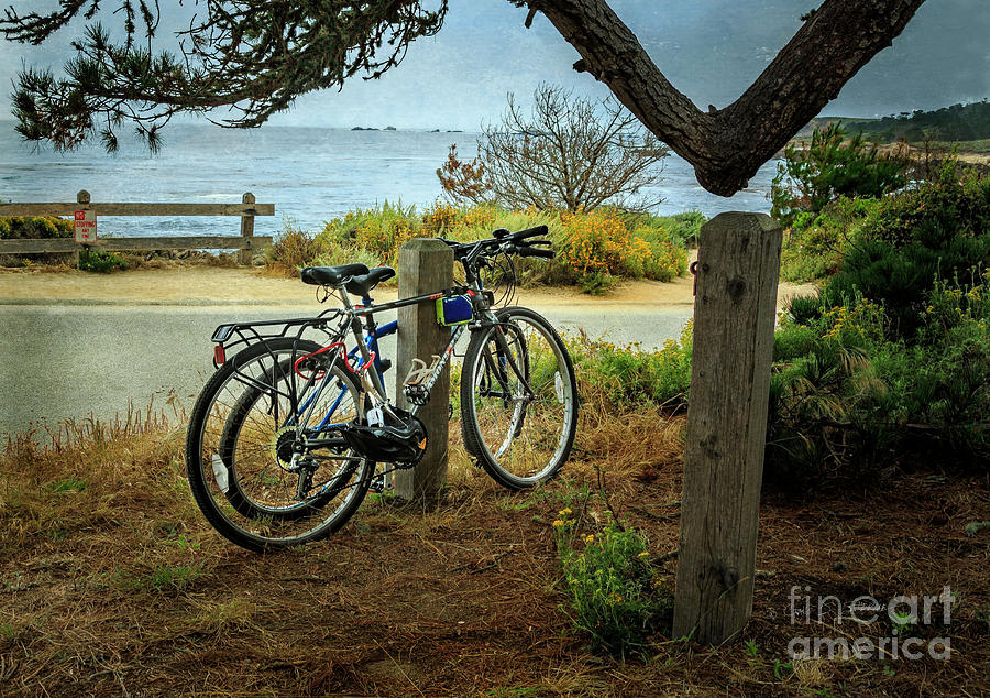 Point Lobos Bicycles Photograph by Craig J Satterlee