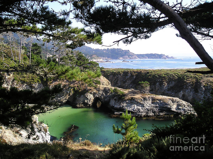 Point Lobos Photograph by Carol Lloyd