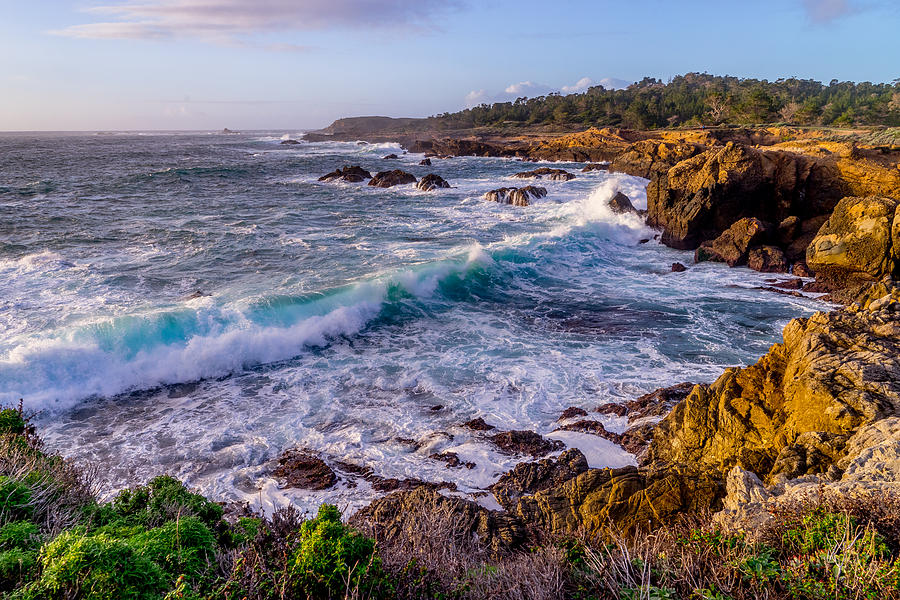 Point Lobos Photograph by Derek Dean