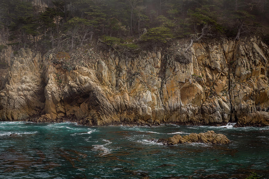 Point Lobos Photograph by Gary Migues