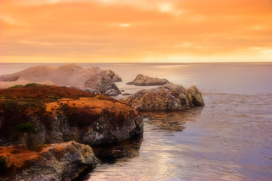 Point Lobos  Photograph by Douglas Pulsipher